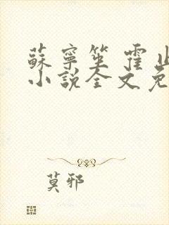 苏宁笙 霍止行小说全文免费阅读