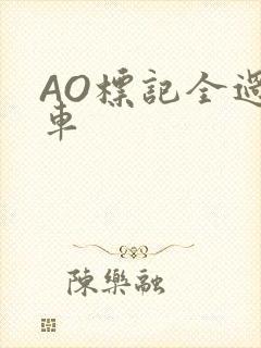 AO标记全过程车