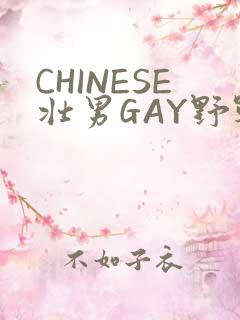 CHINESE壮男GAY野战强迫TUBE