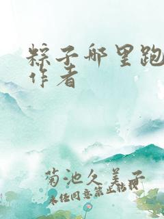 粽子哪里跑小说作者