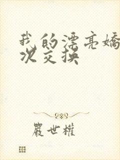 我的漂亮娇妻初次交换