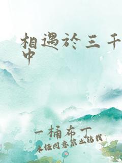 相遇于三千肉文中