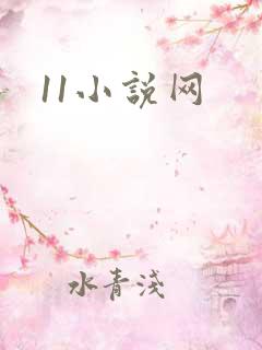 11小说网