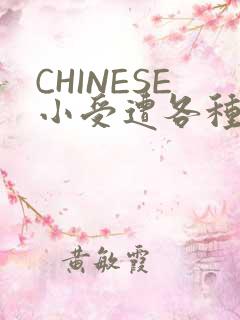 CHINESE小受遭各种打桩