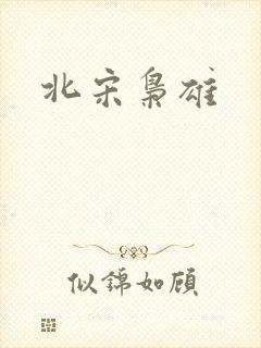 北宋枭雄
