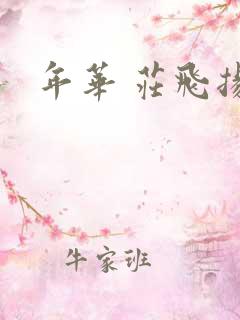 年华 庄飞扬