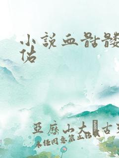 小说血骷髅楚天佑