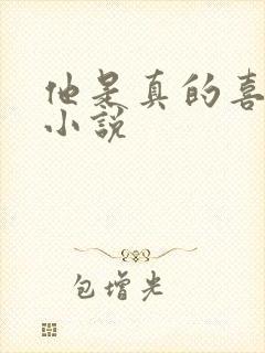他是真的喜欢你小说