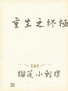 重生之终极杀手