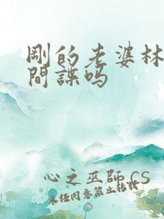 刚的老婆林彦是间谍吗