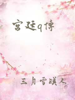 宫廷q传