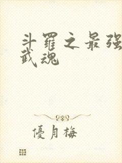 斗罗之最强治疗武魂