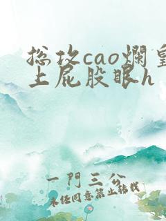 总攻cao烂皇上屁股眼h