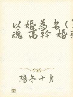 以婚为名 (军魂 高干 婚恋)