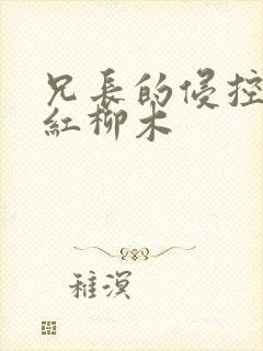 兄长的侵控by红柳木