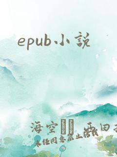 epub小说