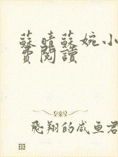 苏晴苏婉小说免费阅读