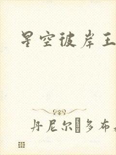 星空彼岸王轩