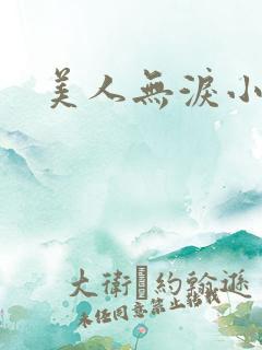 美人无泪小说
