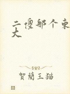 二傻那个东西真大