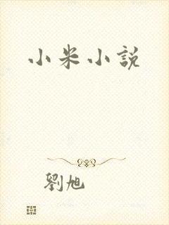 小米小说