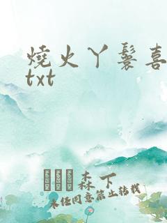 烧火丫鬟喜洋洋txt
