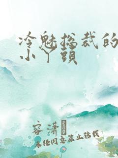 冷魅总裁的纯纯小丫头