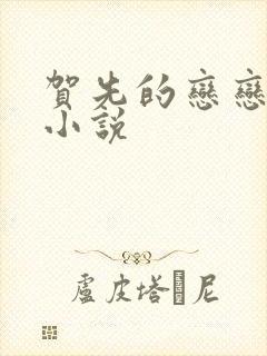 贺先的恋恋不忘小说