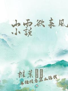 山雨欲来风满楼小说