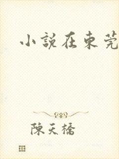 小说在东莞