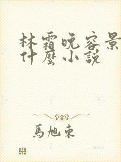 林霜晚容景渊是什么小说