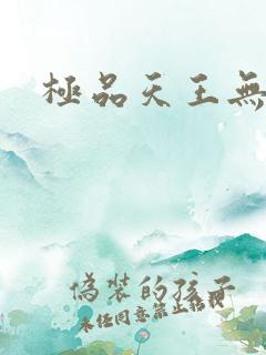 极品天王无弹窗