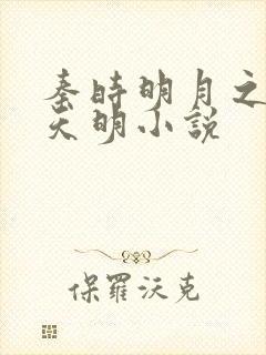 秦时明月之夜尽天明小说