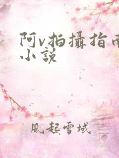 阿v拍摄指南说小说
