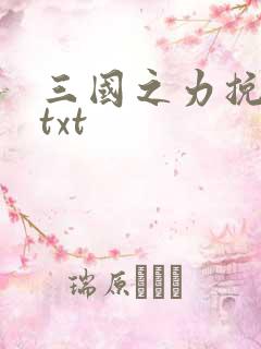 三国之力挽狂澜txt