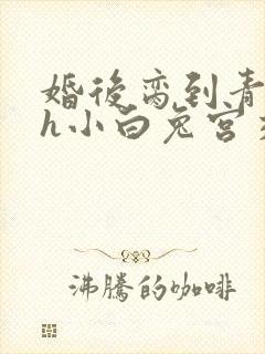 婚后脔到青梅哭h小白兔宫交h