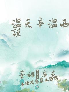 温天辛温西离小说