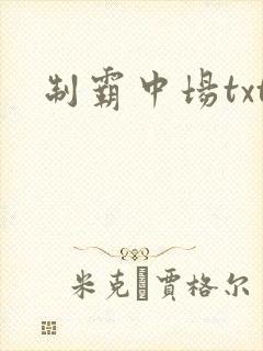 制霸中场txt
