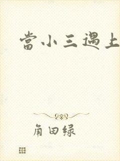 当小三遇上小四