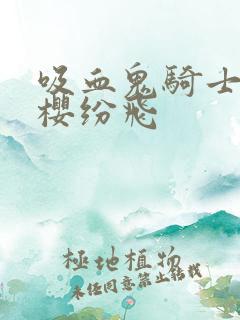 吸血鬼骑士之落樱纷飞