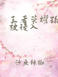 王者荣耀孙尚香被后入