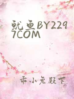 鱿鱼BY2297COM