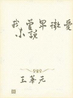 我曾卑微爱过你 小说