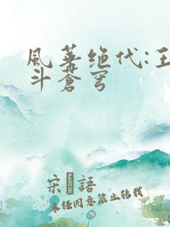 风华绝代:王妃斗苍穹