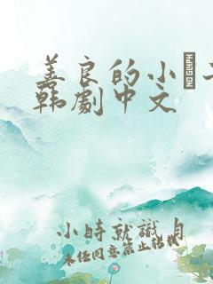 善良的小峓子2韩剧中文