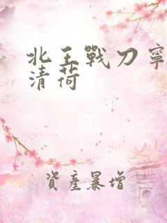 北王战刀宁北苏清荷