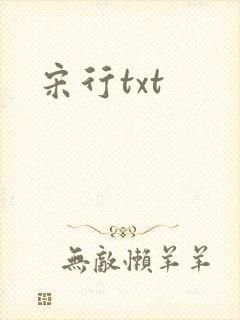 宋行txt