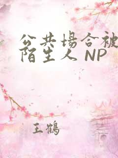 公共场合被各种陌生人 NP