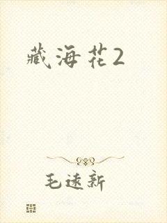 藏海花2