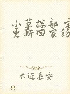 小草总部 定期更新回家的路